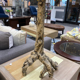 Lamp ( Table)