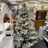 christmas tree (fullsize)