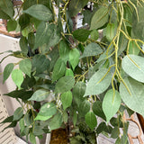 Tree (Floor Size)