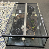 Pet Accessories