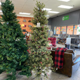 christmas tree (fullsize)