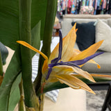 Plant (Silk)