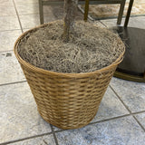 Tree (Floor Size)
