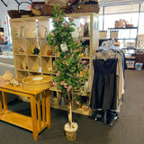 Plant (Silk)