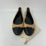 tory burch 11 designer shoes ( Wm)