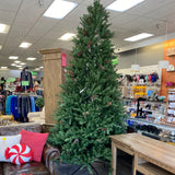 christmas tree (fullsize)