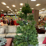 christmas tree (fullsize)