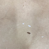 Table (Accent)