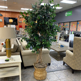 Tree (Floor Size)