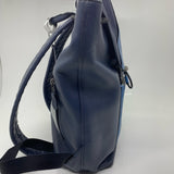 Coach designer travel