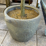 Tree (Floor Size)