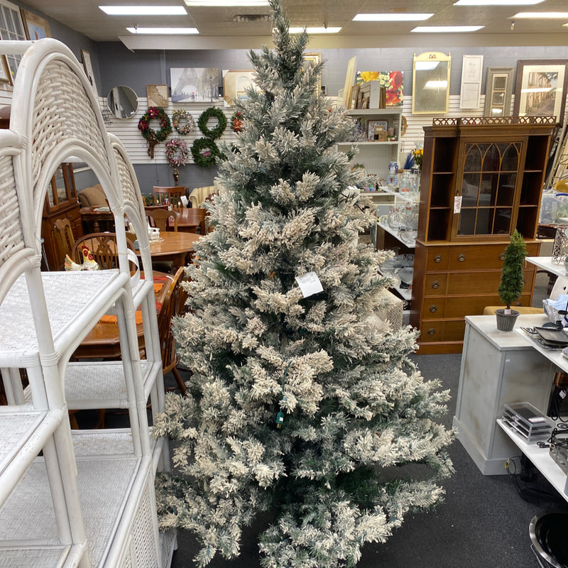 christmas tree (fullsize)