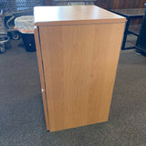 Wood Cabinet (Filing)