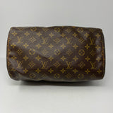 Louis Vuitton designer  purse