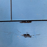 Cabinet (Filing)