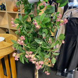 Plant (Silk)