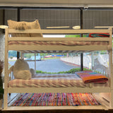 Wood Bed (Bunk)
