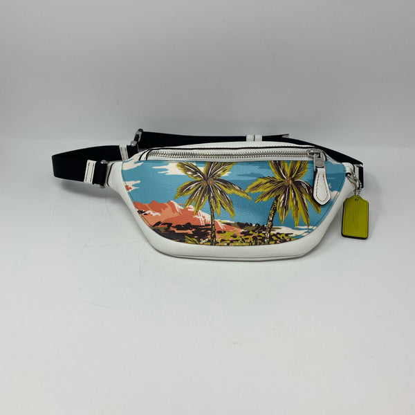 Coach designer travel