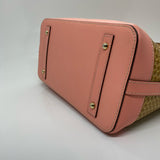 Dooney & Bourke designer  purse