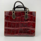 Dooney & Bourke designer  purse
