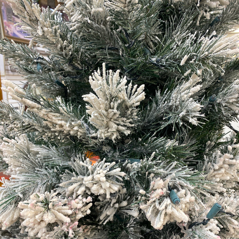 christmas tree (fullsize)