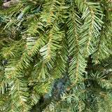 christmas tree (fullsize)