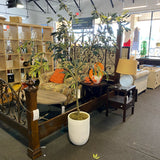 Tree (Floor Size)