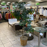 Tree (Floor Size)