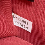 Coach designer travel