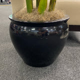Plant (Silk)