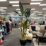 Plant (Silk)
